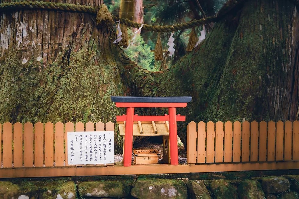 ⛩️ 무로 용혈 신사(무로 류케츠 진자) 이미지 13